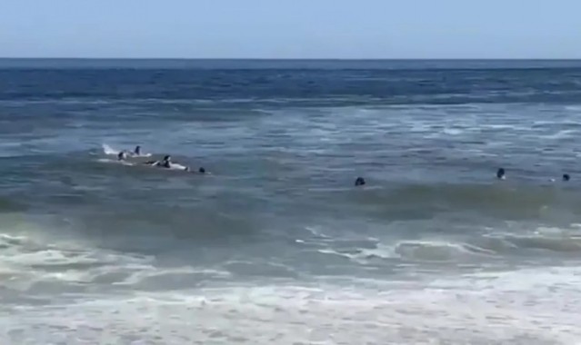 kaiyun sports-惊险万分！太阳报：德米凯利斯一家游泳时被海浪冲走，最终被救起